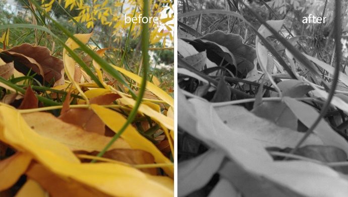 Пример фото до и после обработки в Photo Editor на Nokia Lumia