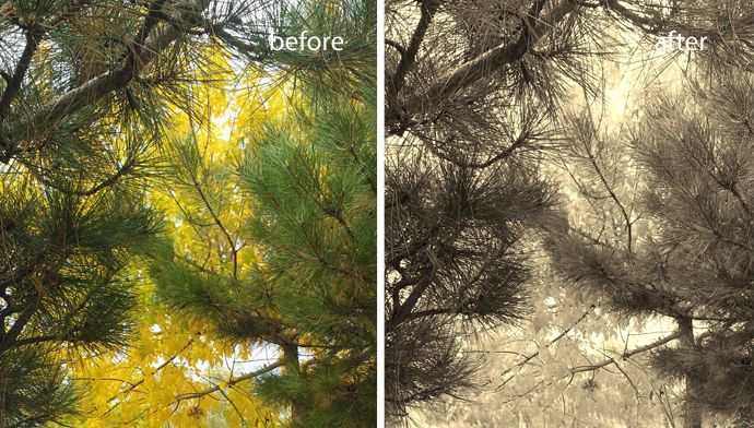 Пример фото до и после обработки в Photo Light на Nokia Lumia
