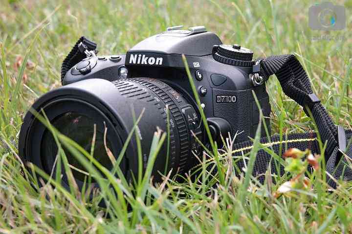 Обзор Nikon D7100 — Топовый кроп с четырехзначной цифрой