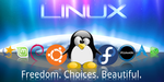 Linux: дневник эмигранта. Знакомство с терминалом