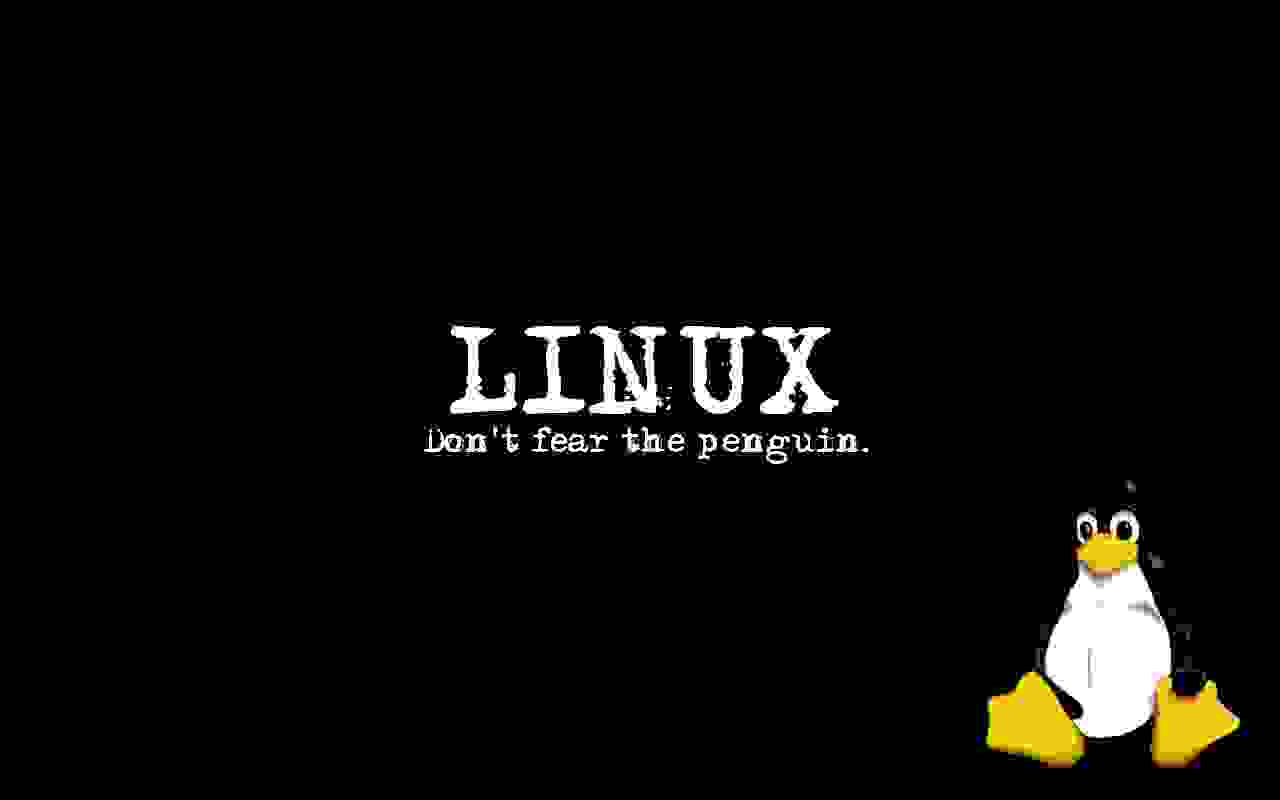 О том, как я познакомился с Linux, почему я выбрал Linux и в чем его преимущества перед Windows