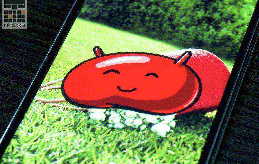 Jelly Bean замечен на половине Android-девайсов