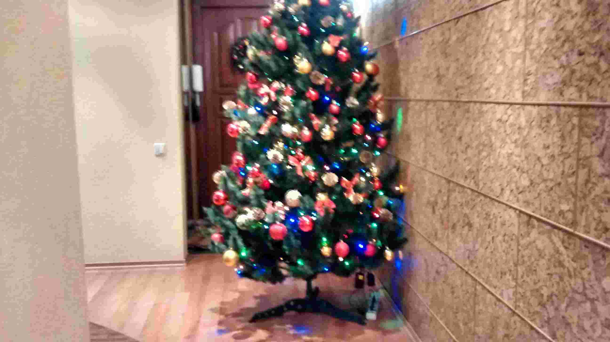 IMG_20140103_130605203_HDR