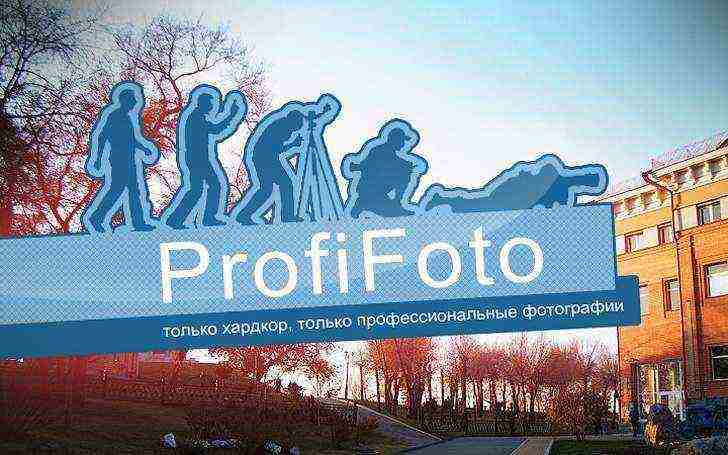 ProfiFoto e67