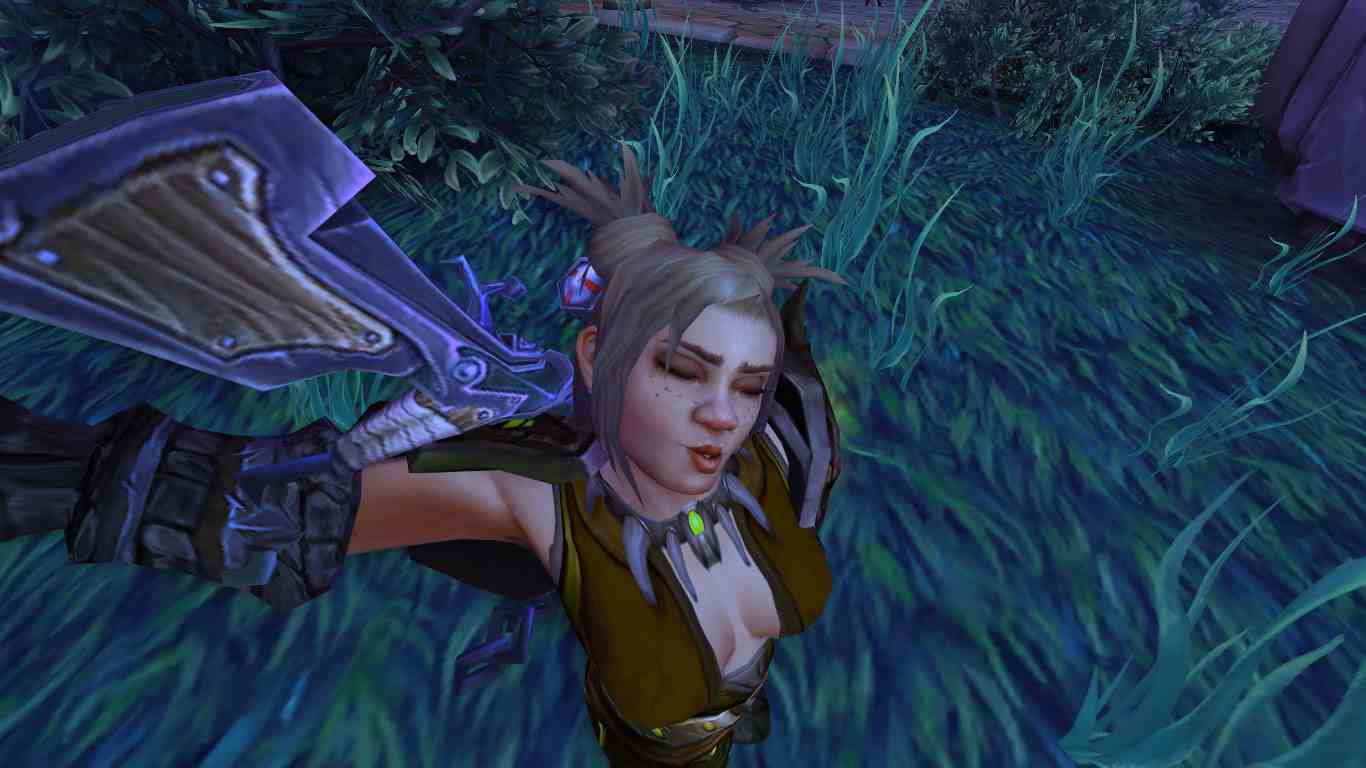 Селфи теперь и в World of Warcraft