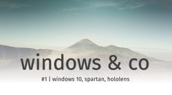 windows & co #1