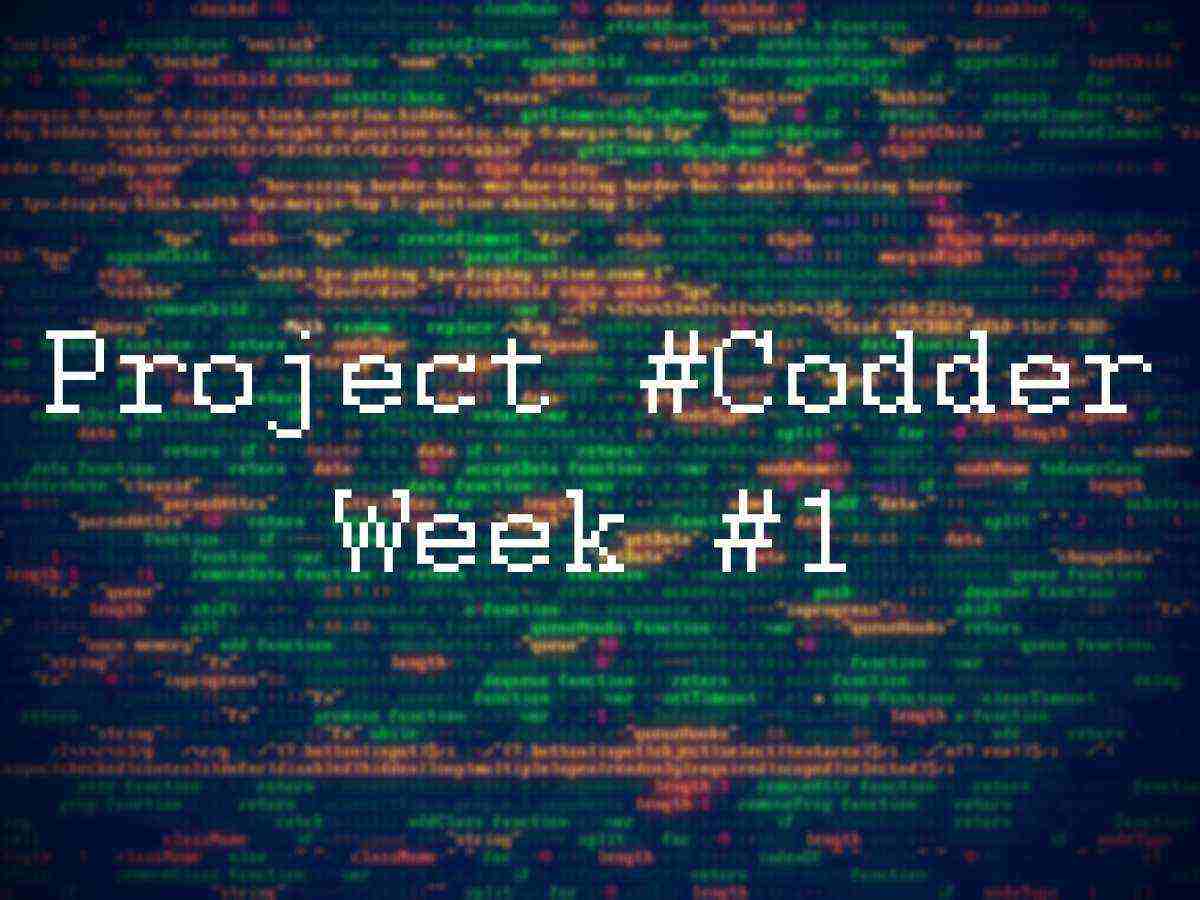 Project Codder. Week #1