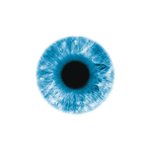 Your Eyes – тренировка зрения