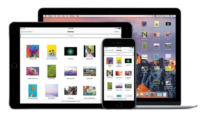 Apple разрабатывает универсальные приложения для iPhone, iPad и Mac