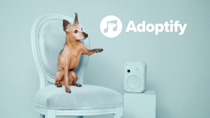 Spotify создал сервис выбора собак согласно их музыкальному вкусу