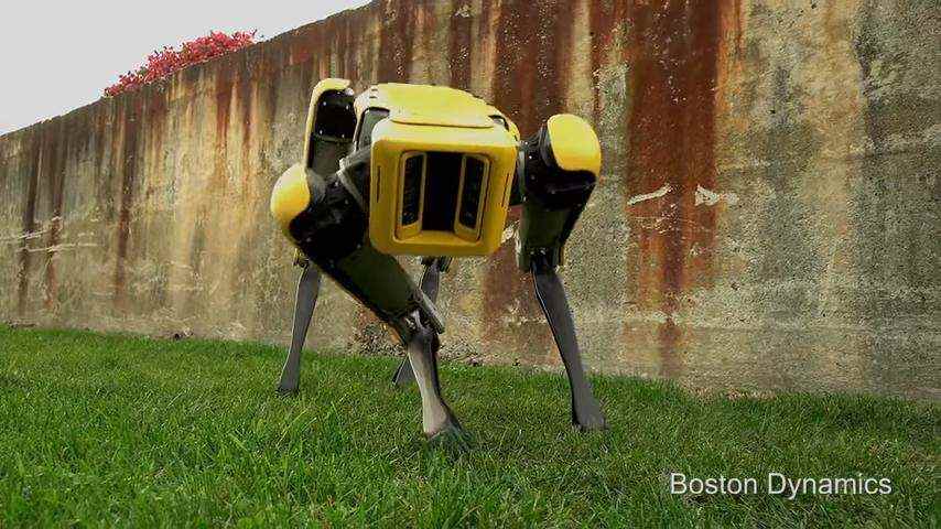 Не спрятаться и не убежать. Boston Dynamics показала, как её роботы умеют бегать и лавировать в помещениях