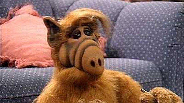 Alf is coming back! Культовый сериал о пришельце может получить перезапуск