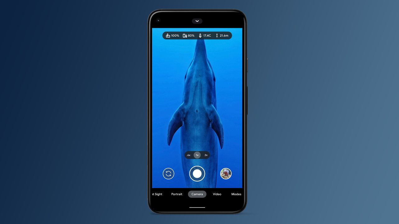Google показала возможности подводной съемки Pixel