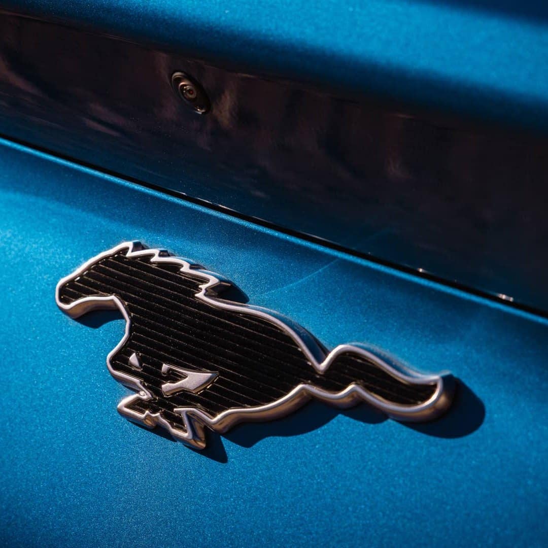 Крупний план хромованої емблеми коня Mustang з чорною сіткою на синьому кузові автомобіля