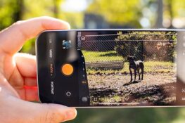 Oppo Find X10 Ultra: два сенсори по 200MP і квадратна фронталка на 100MP